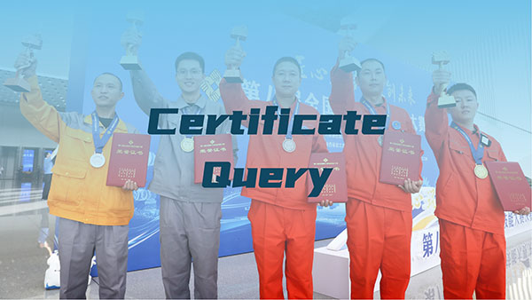  Certificate Query