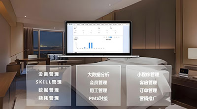 Digitalized Hotel Operations Management（BRICS-25-38）