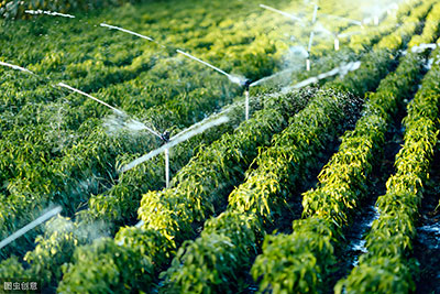 Water-Saving lrrigation System Design and lmplementation（BRICS-25-21）