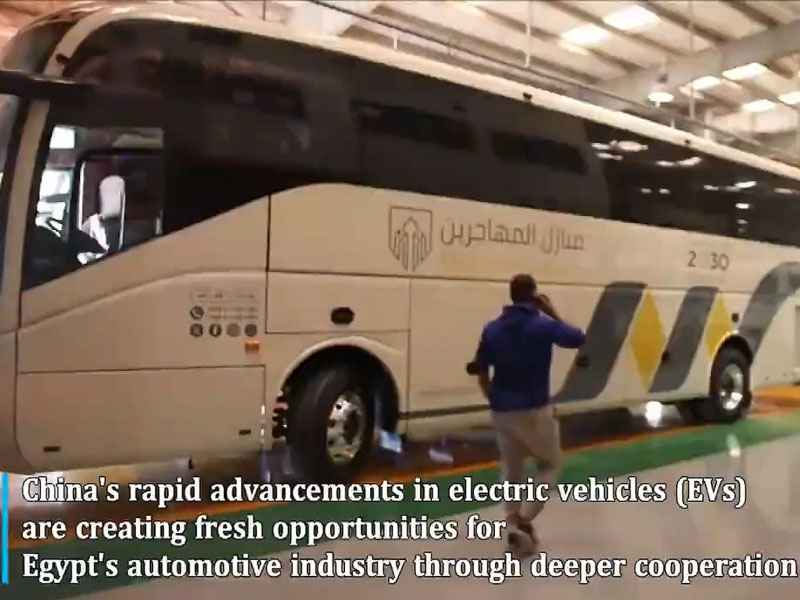 China's EV advances drive new opportunities for Egypt's auto sector: industry leader