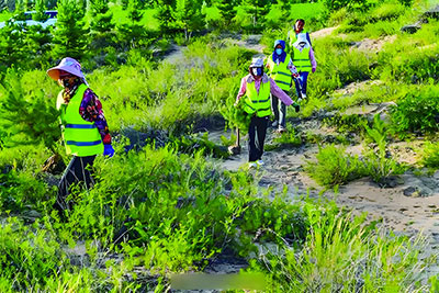 Desertification Prevention and Control Engineering Technology（BRICS-25-26）