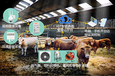Digitalized Livestock Farming Management（BRICS-25-29）